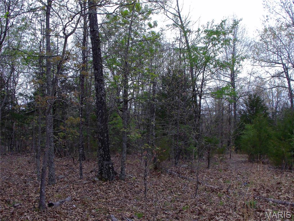 0 Young Road Salem, AR 72576 - Photo 17 of 39