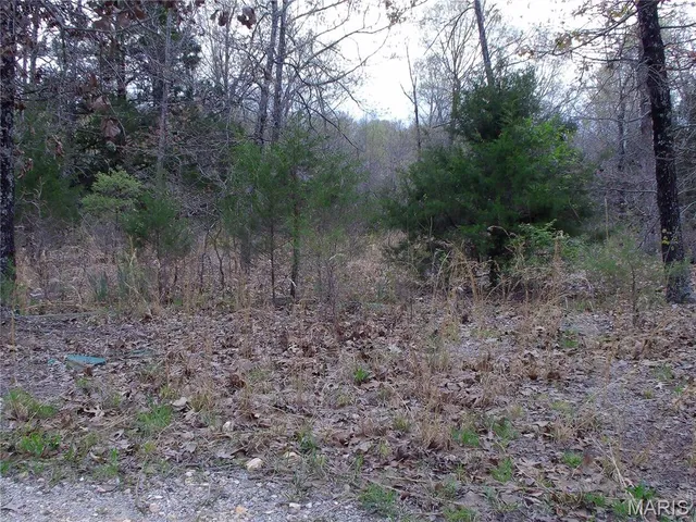 $89,900 | 0 Young Road, Salem, AR 72576