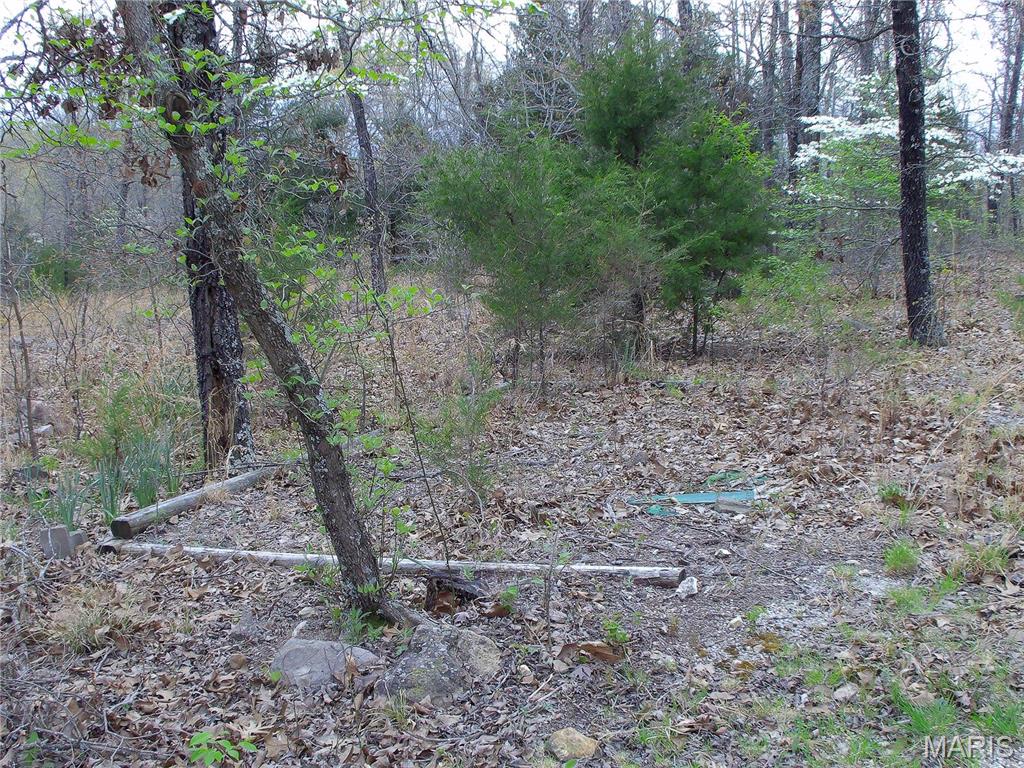 0 Young Road Salem, AR 72576 - Photo 19 of 39