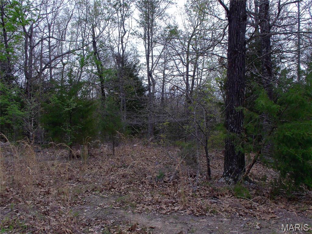 0 Young Road Salem, AR 72576 - Photo 19 of 39