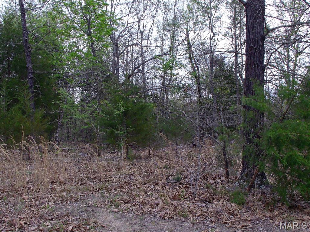 0 Young Road Salem, AR 72576 - Photo 20 of 39