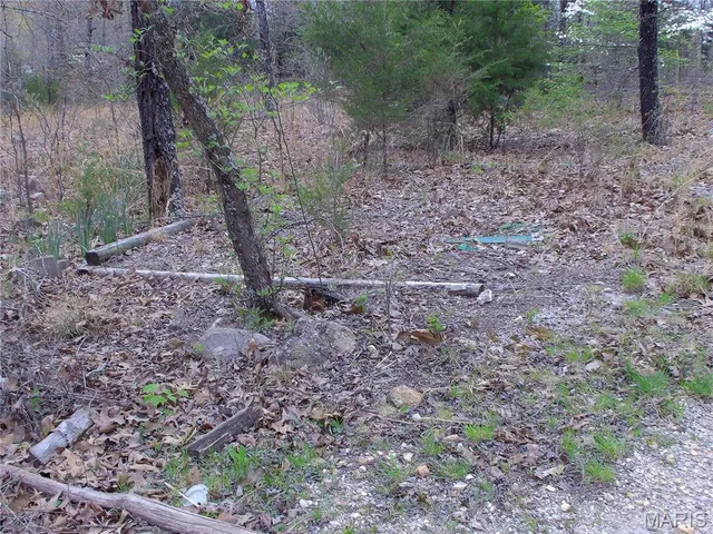 $89,900 | 0 Young Road, Salem, AR 72576