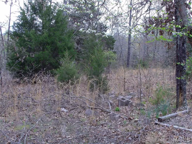 $89,900 | 0 Young Road, Salem, AR 72576