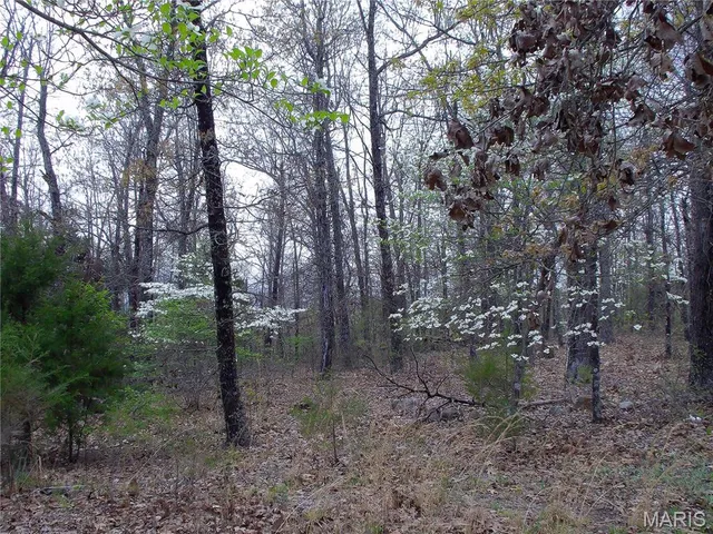 $89,900 | 0 Young Road, Salem, AR 72576