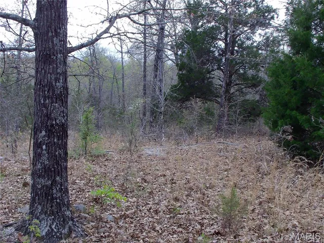 $89,900 | 0 Young Road, Salem, AR 72576