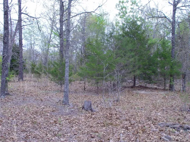 $89,900 | 0 Young Road, Salem, AR 72576