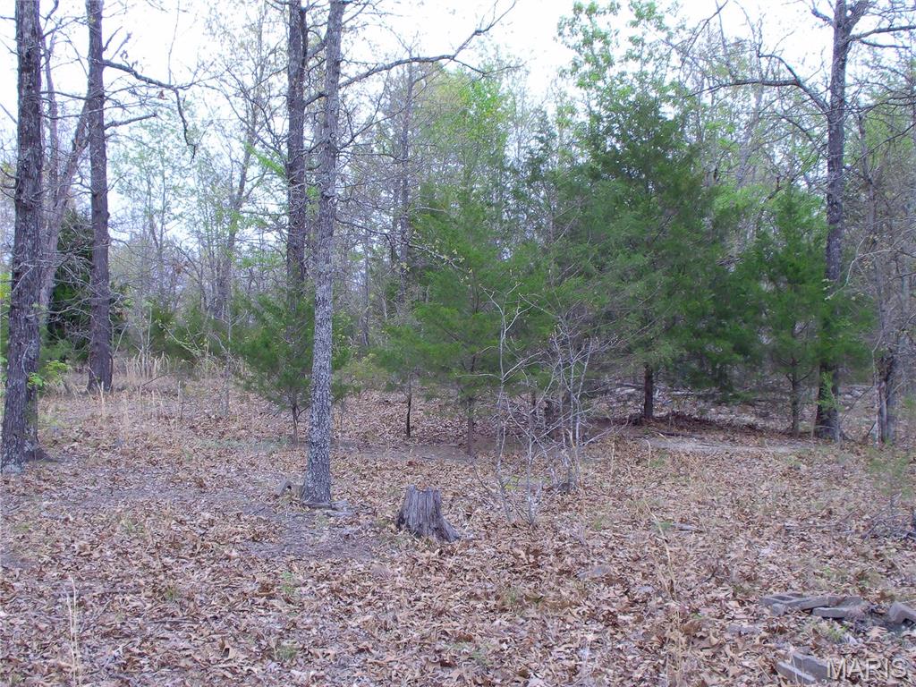 0 Young Road Salem, AR 72576 - Photo 25 of 39