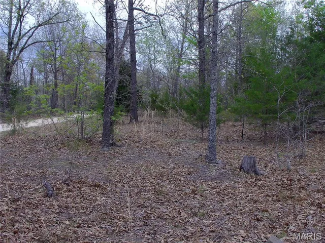 $89,900 | 0 Young Road, Salem, AR 72576