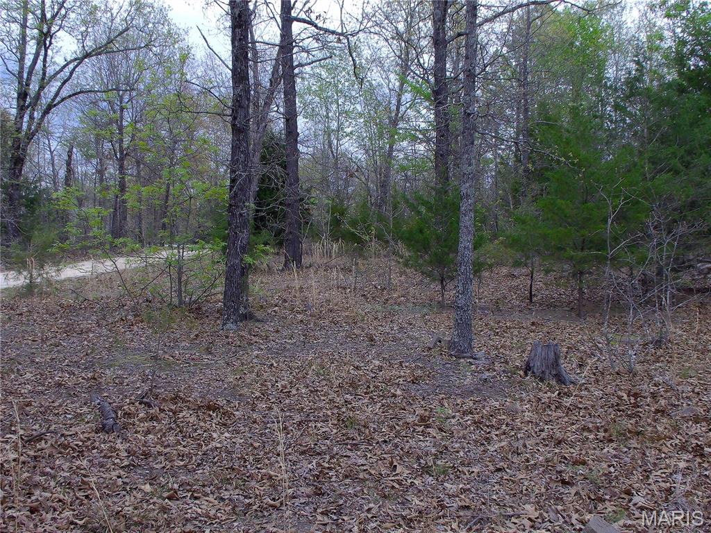 0 Young Road Salem, AR 72576 - Photo 26 of 39
