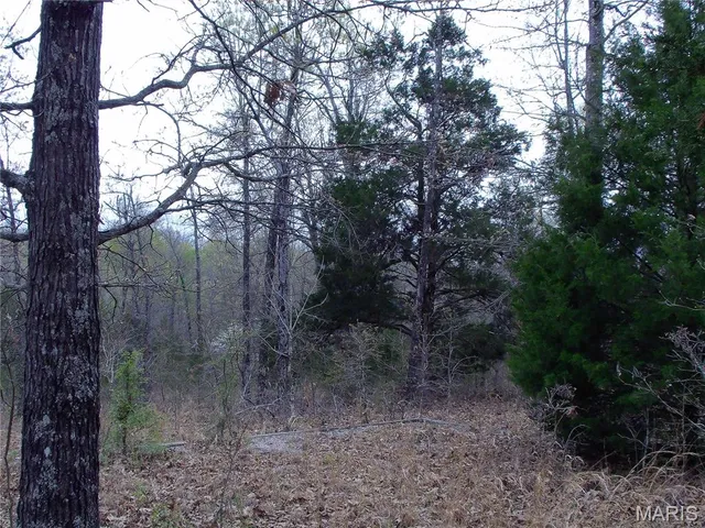 $89,900 | 0 Young Road, Salem, AR 72576