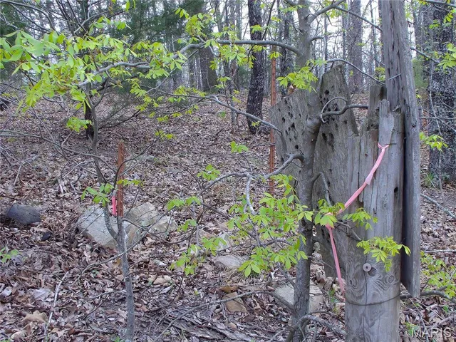 $89,900 | 0 Young Road, Salem, AR 72576