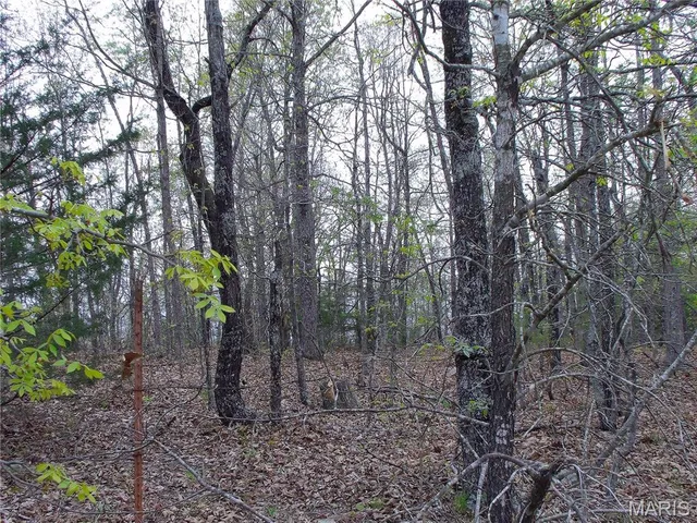 $89,900 | 0 Young Road, Salem, AR 72576