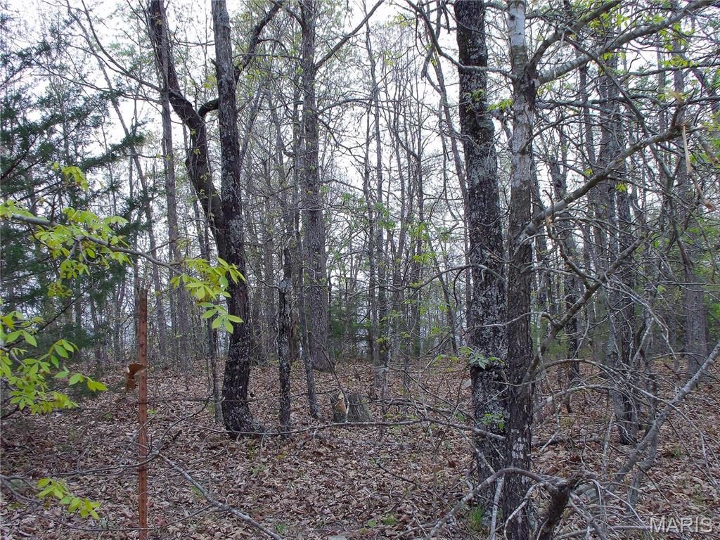 0 Young Road Salem, AR 72576 - Photo 29 of 39