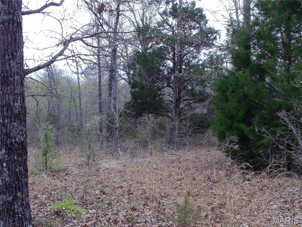 0 Young Road Salem, AR 72576 - Photo 29 of 39