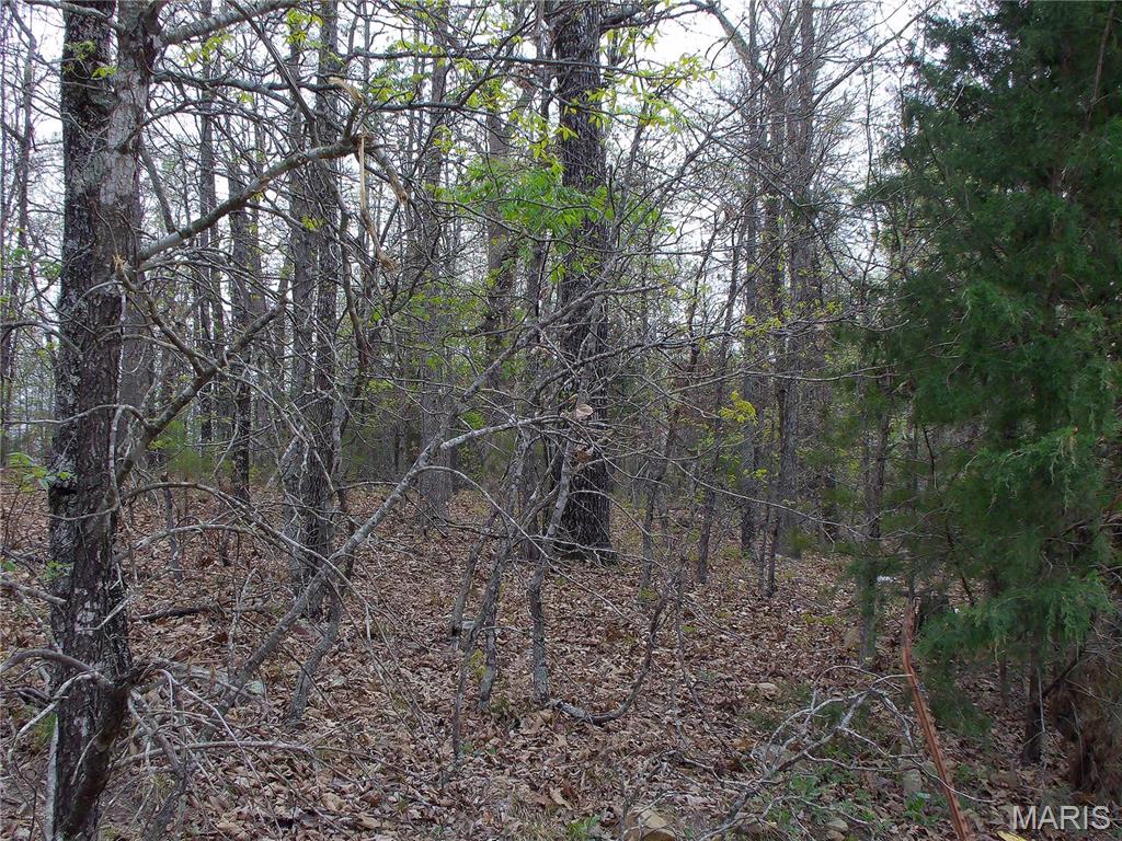 0 Young Road Salem, AR 72576 - Photo 34 of 39