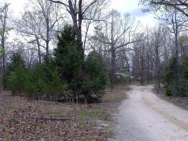 $89,900 | 0 Young Road, Salem, AR 72576