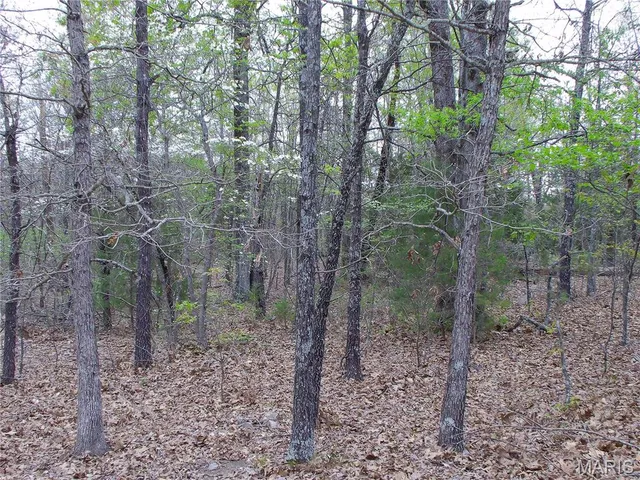 $89,900 | 0 Young Road, Salem, AR 72576