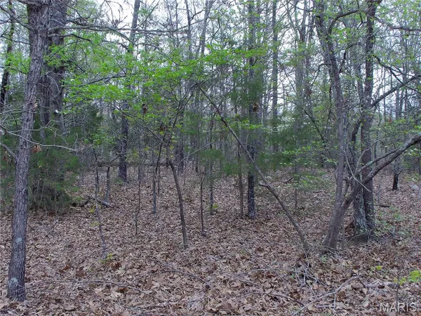 $89,900 | 0 Young Road, Salem, AR 72576