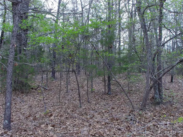 $89,900 | 0 Young Road, Salem, AR 72576