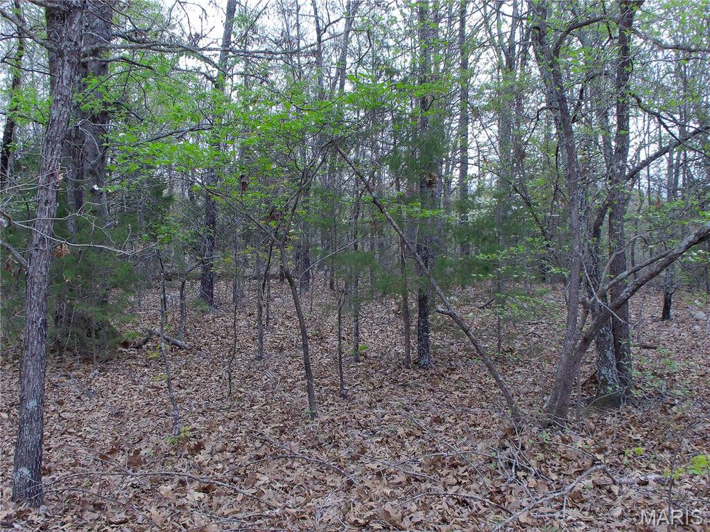 0 Young Road Salem, AR 72576 - Photo 8 of 39