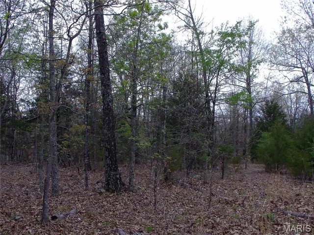 $89,900 | 0 Young Road, Salem, AR 72576