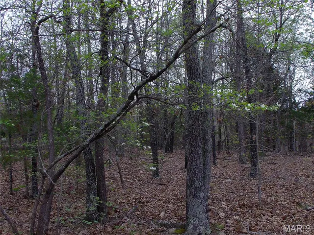 $89,900 | 0 Young Road, Salem, AR 72576