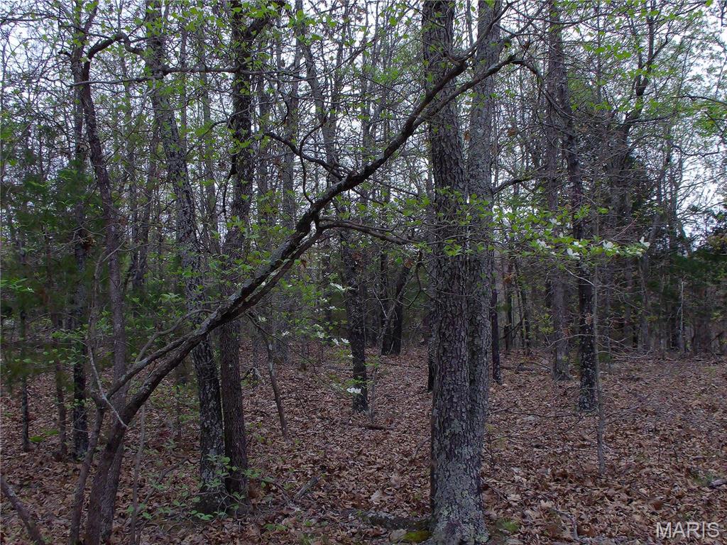 0 Young Road Salem, AR 72576 - Photo 10 of 39