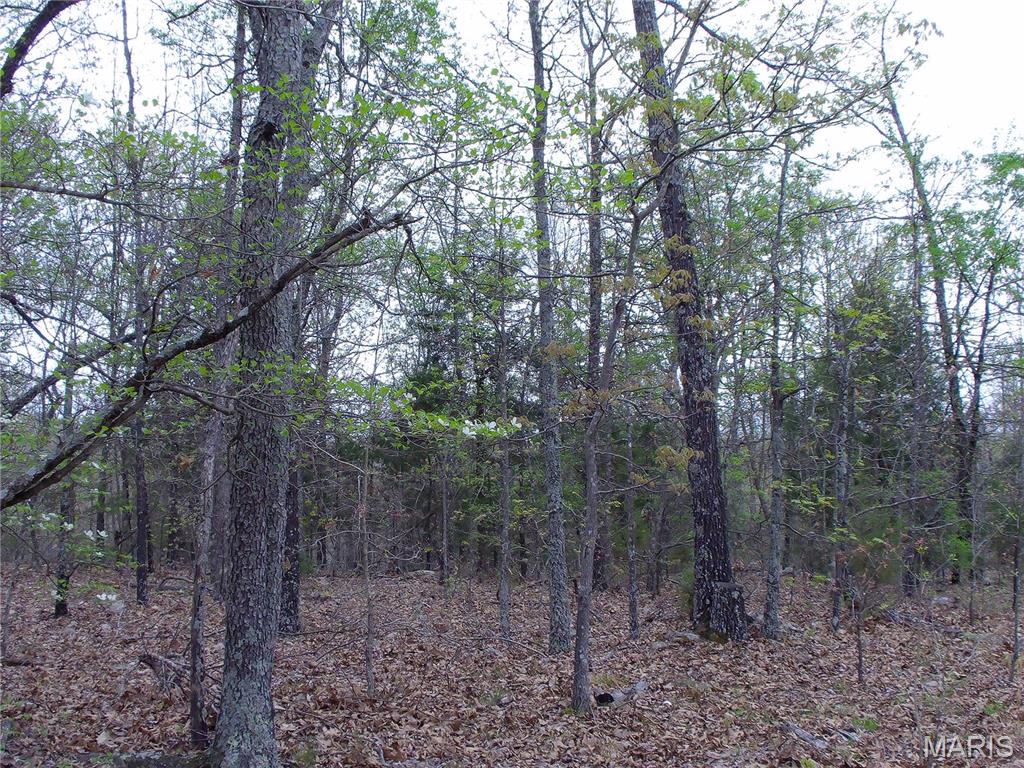 0 Young Road Salem, AR 72576 - Photo 10 of 39