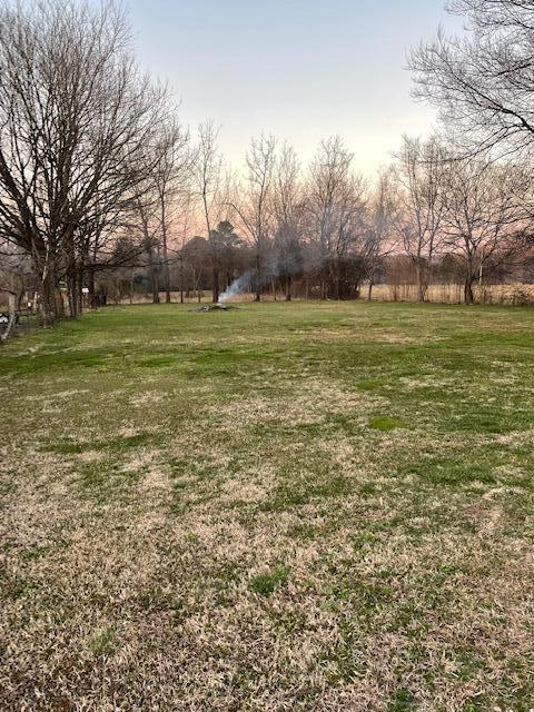 2717 Spring Place Road Southeast Cleveland, TN 37323 - Photo 15 of 20 Nice level yard