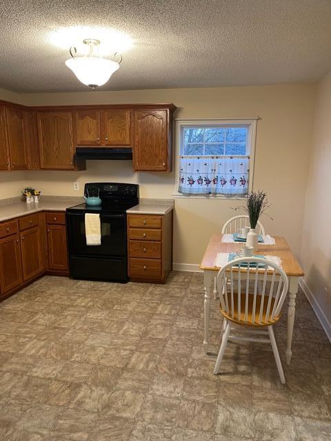2717 Spring Place Road Southeast Cleveland, TN 37323 - Photo 4 of 20 Plenty of cabinets and counter space