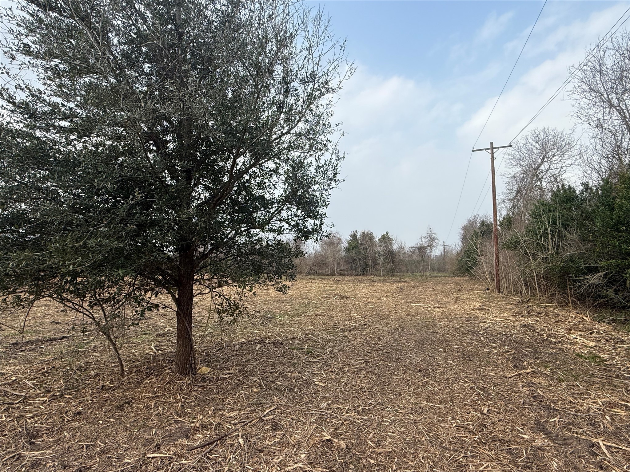 Lot 10 County Road 30 Angleton, TX 77515 - Photo 6 of 9
