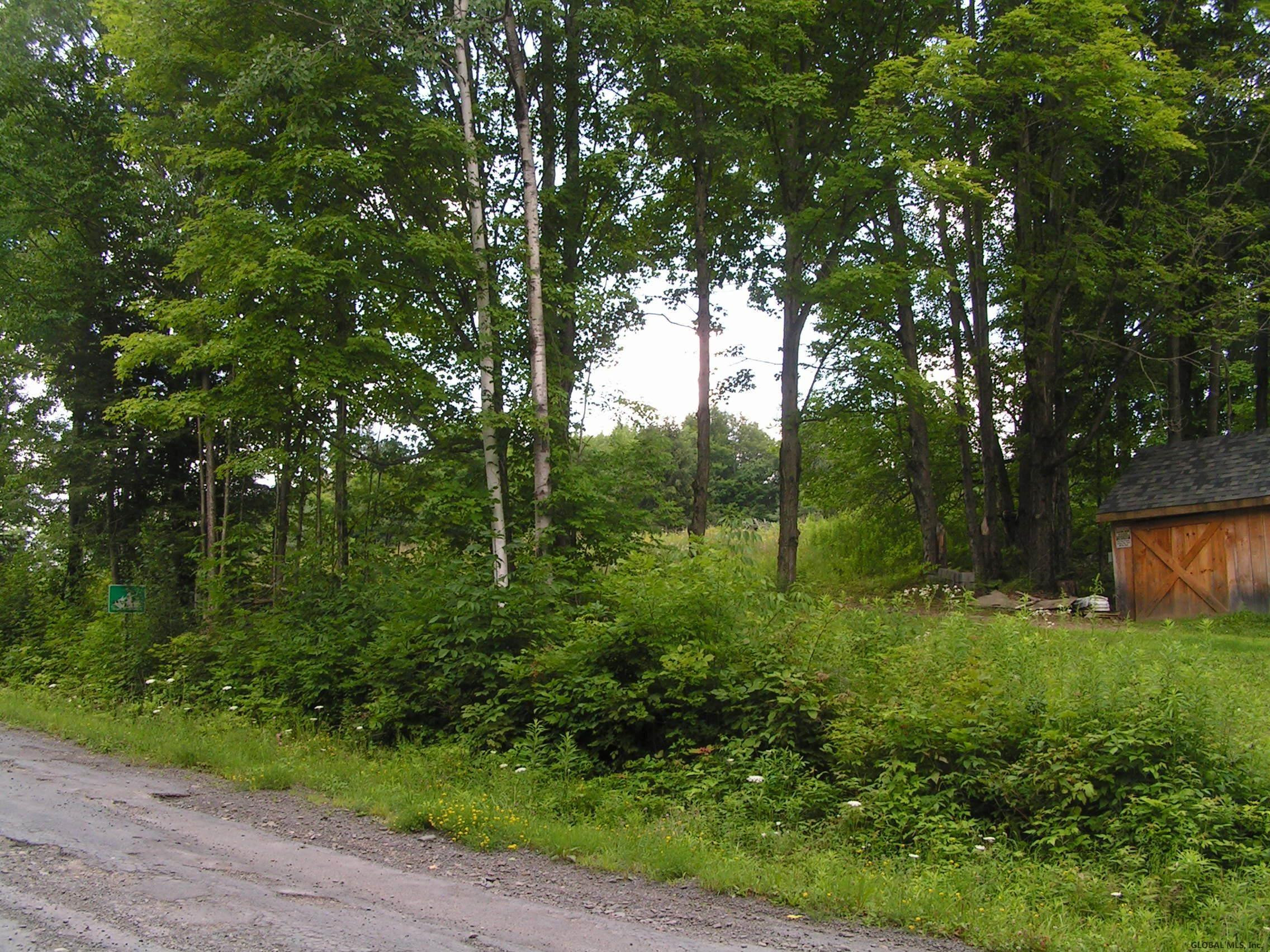 1005 West Hill Road Worcester, NY 12197 - Photo 4 of 21 Photo 4