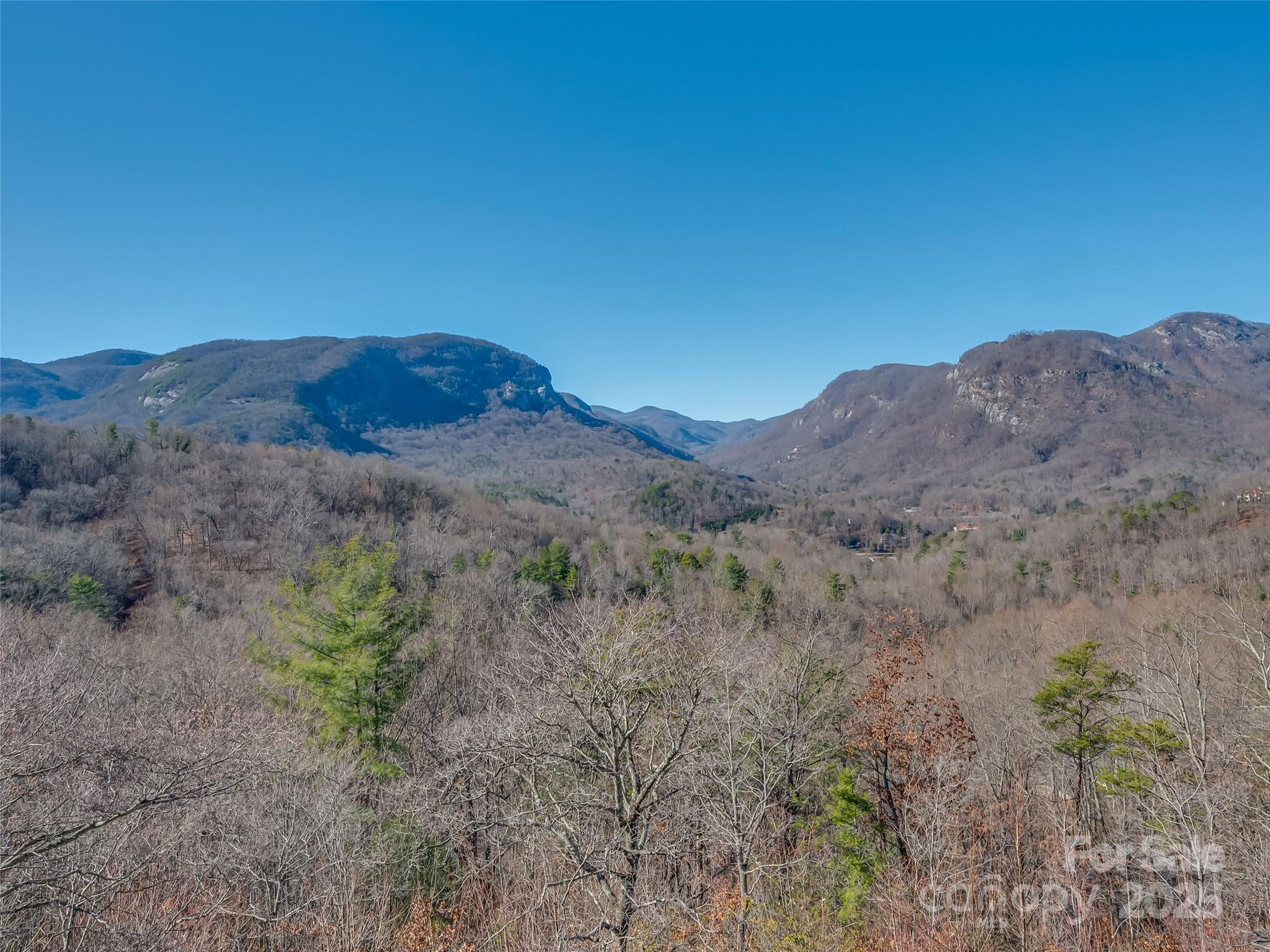 315 Thomas A Edison Rd Lake Lake Lure, NC 28746 - Photo 3 of 47 a view of a dry yard with mountains in the background
