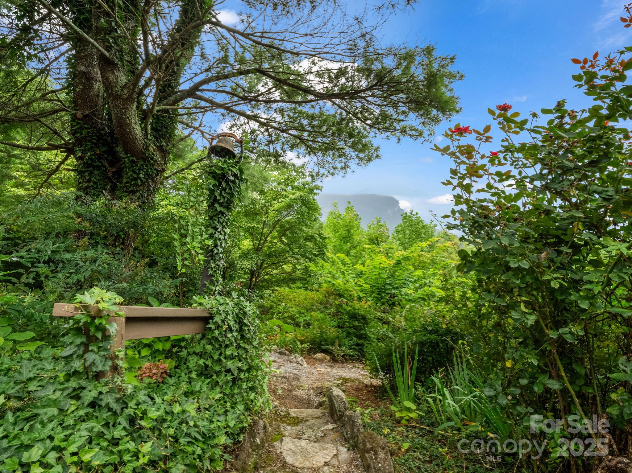 315 Thomas A Edison Rd Lake Lake Lure, NC 28746 - Photo 43 of 47 a plant view