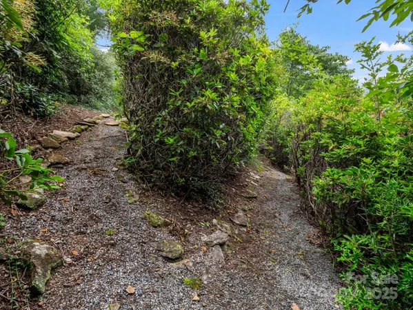 a big yard with lots of green space