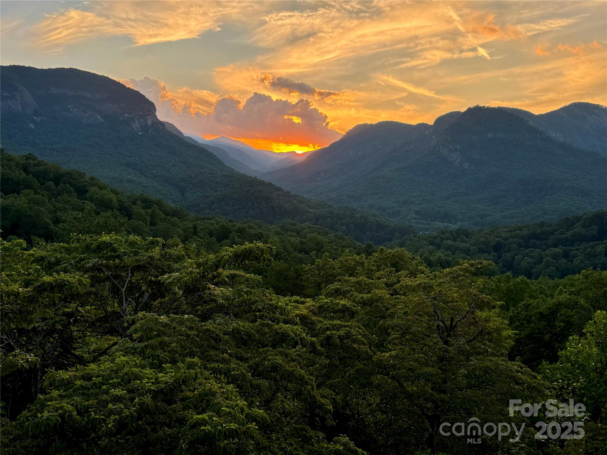 315 Thomas A Edison Rd Lake Lake Lure, NC 28746 - Photo 46 of 47 a view of a mountain