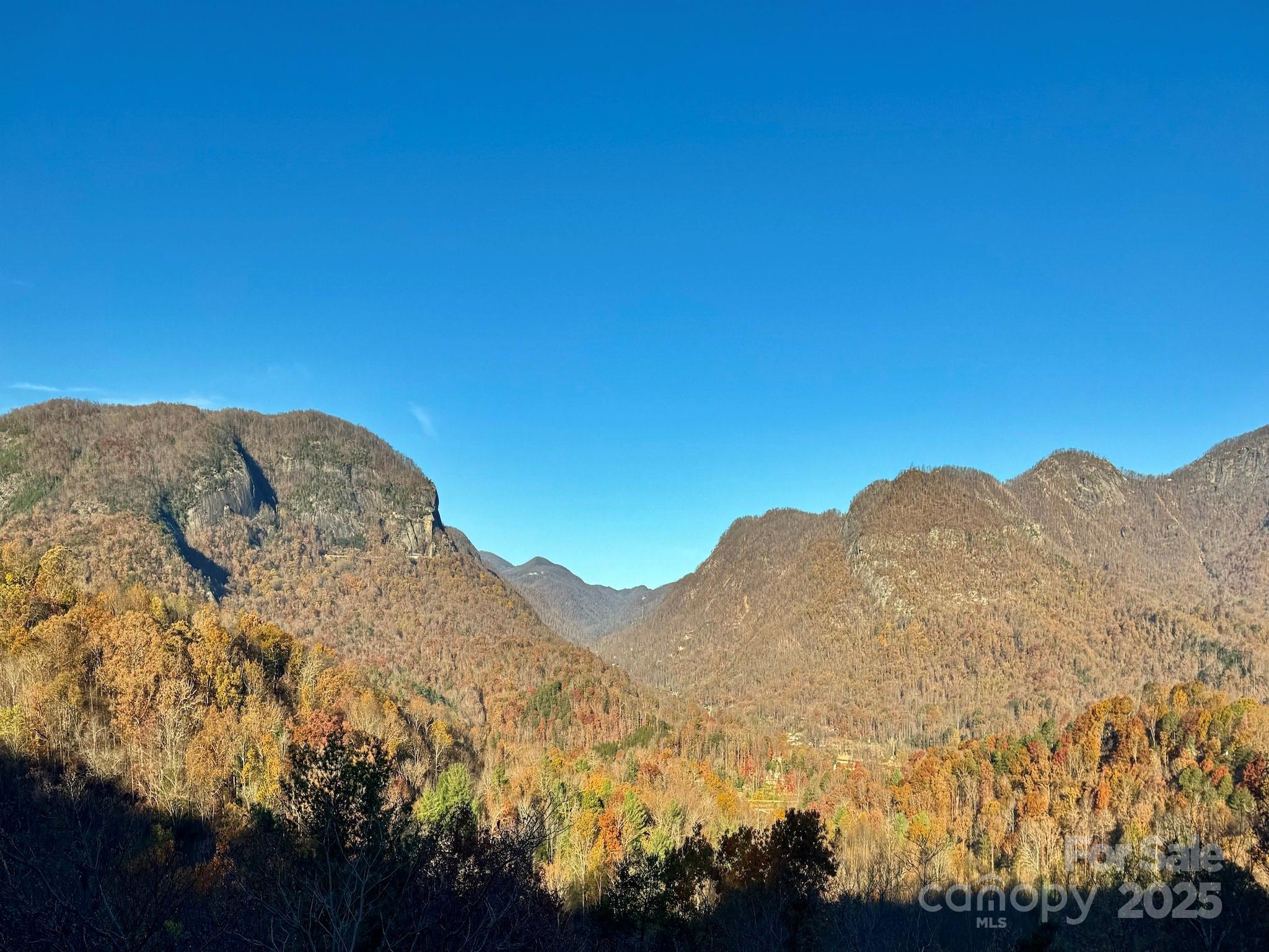 315 Thomas A Edison Rd Lake Lake Lure, NC 28746 - Photo 47 of 47 a view of a large tree with outside view