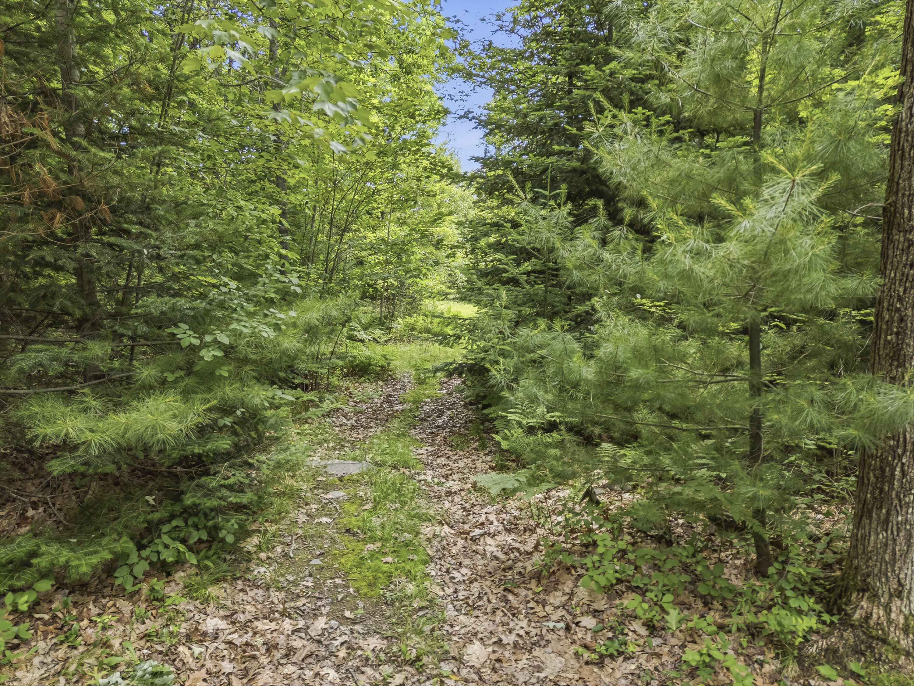 225 Morrill Road Winslow, ME 04901 - Photo 51 of 66 225 Morrill Rd_159