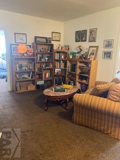 23521 Hillside Road Pueblo, CO 81006 - Photo 7 of 16 Gallery Image 7