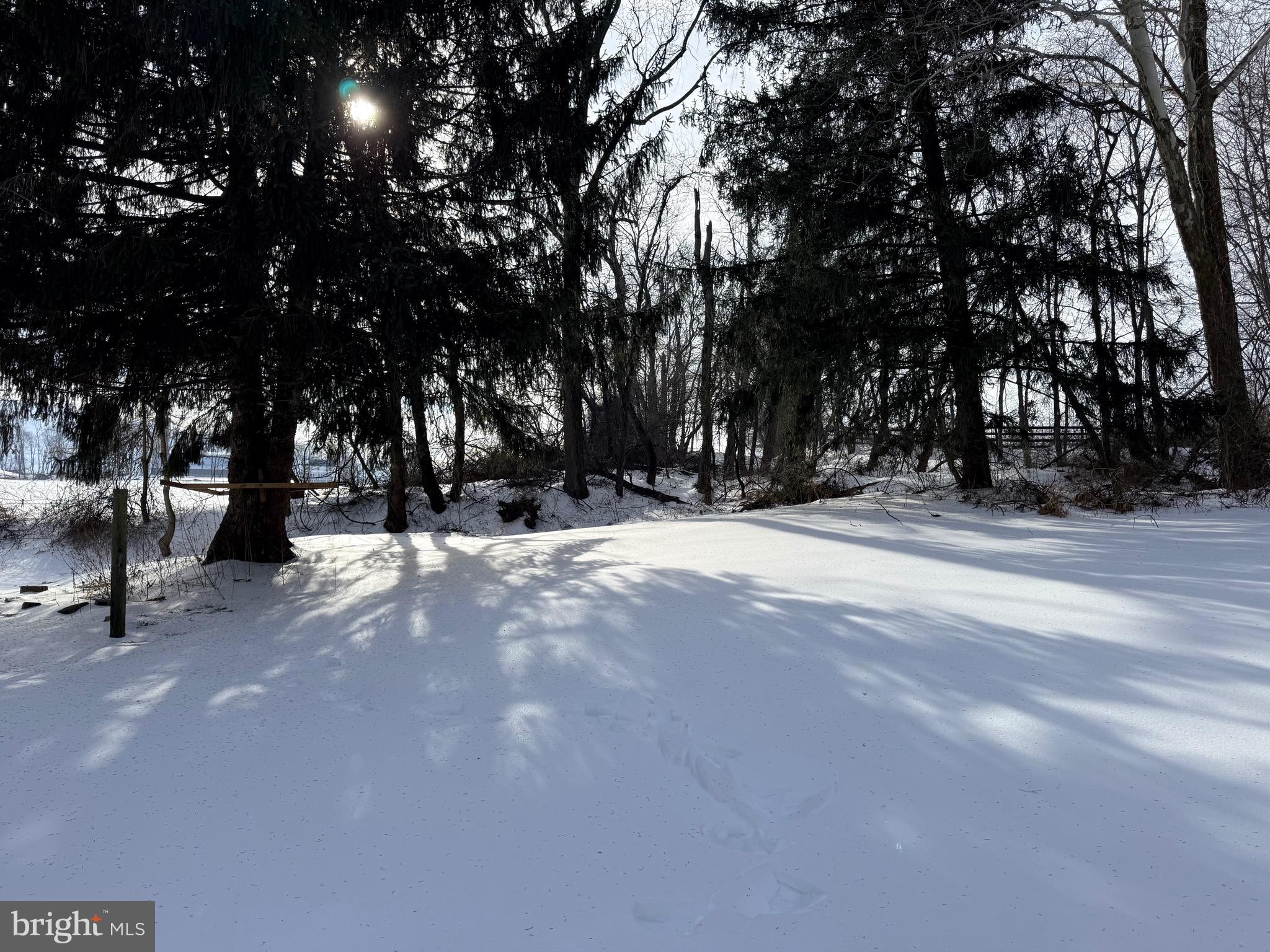 18 Booker Road Delta, PA 17314 - Photo 12 of 39 Back Yard
