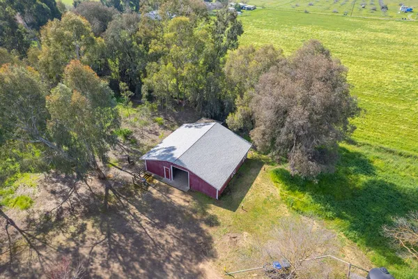 a view of a yard with plants and trees