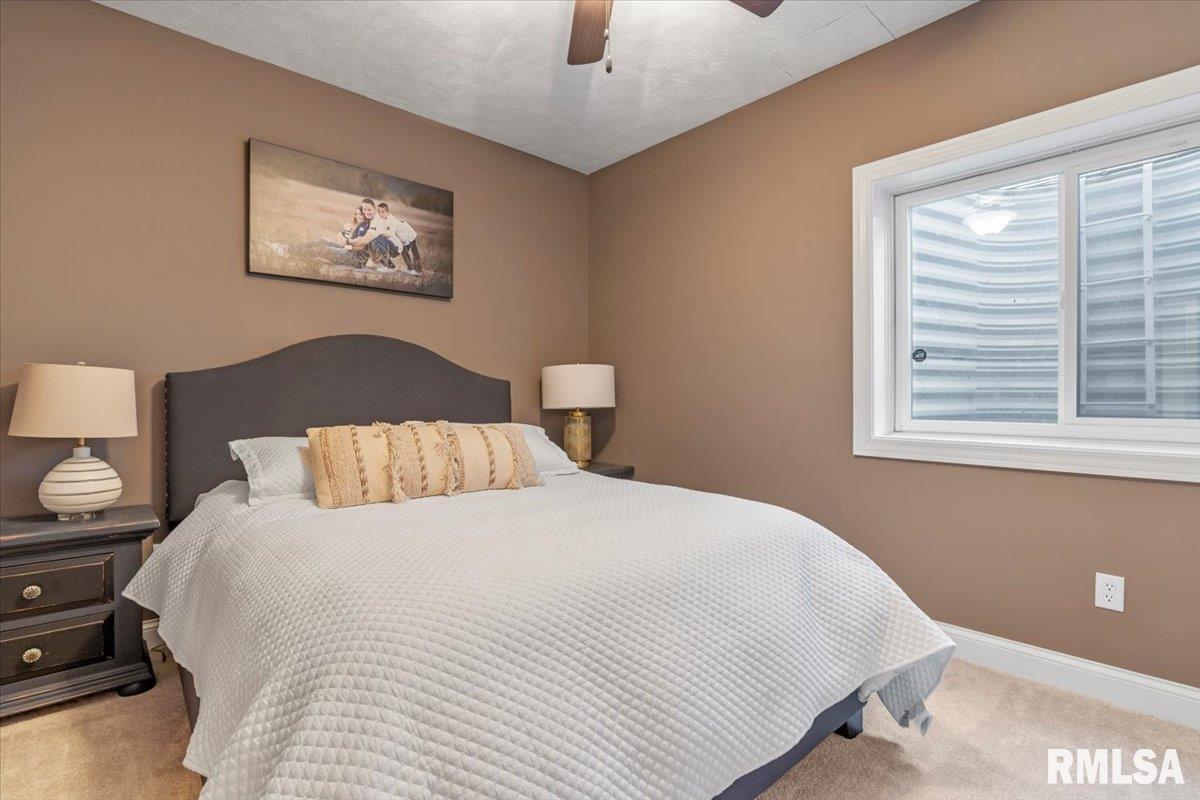 4201 Osage Road Springfield, IL 62711 - Photo 42 of 75