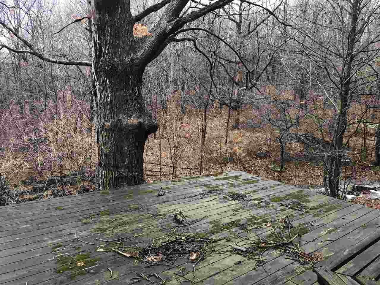 Tbd Coyote Run Mathias, WV 26812 - Photo 17 of 19 a view of dirt yard with a tree