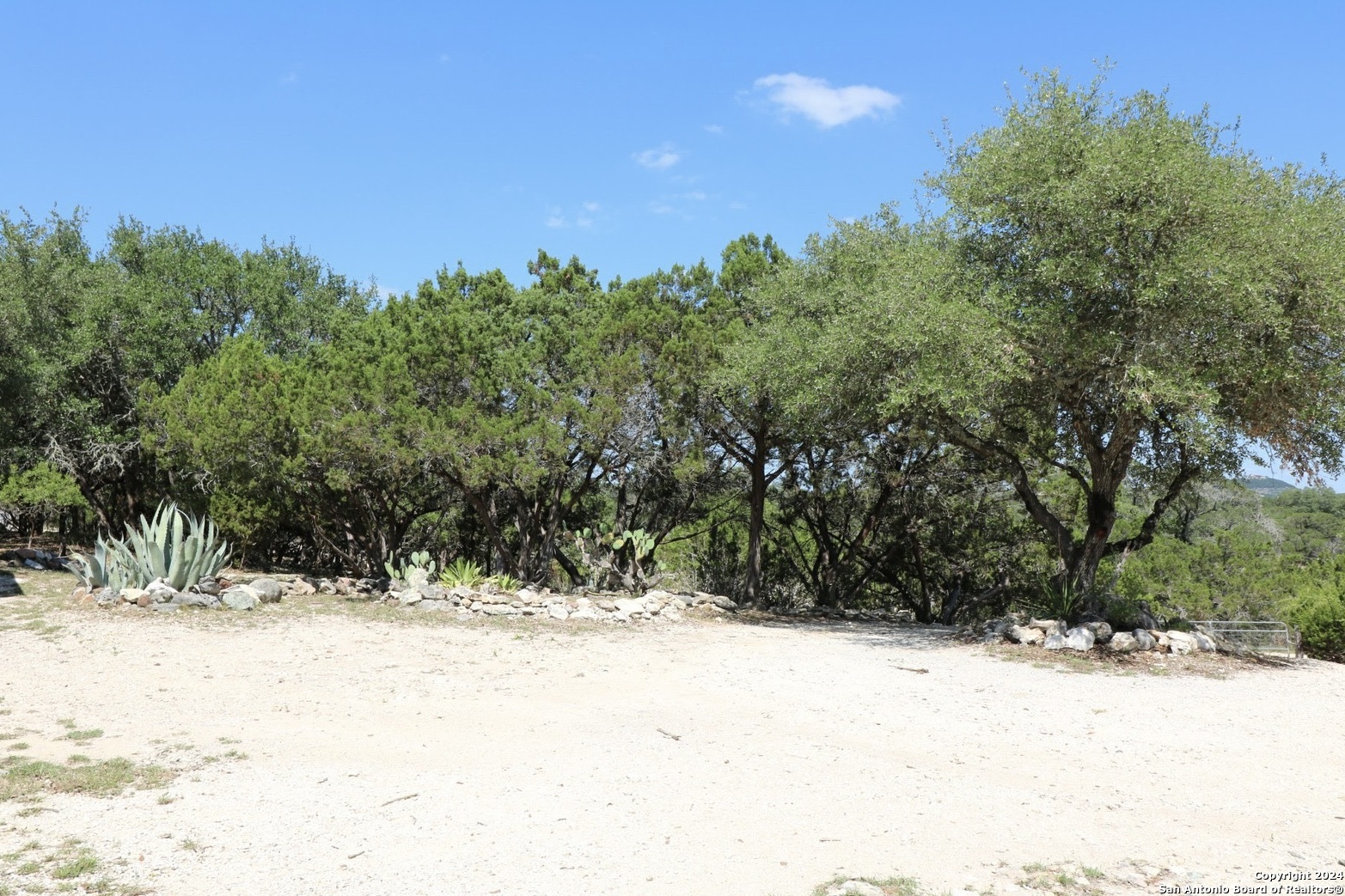 454 Overland Trail Bandera, TX 78003 - Photo 18 of 24 a view of snow covered with trees