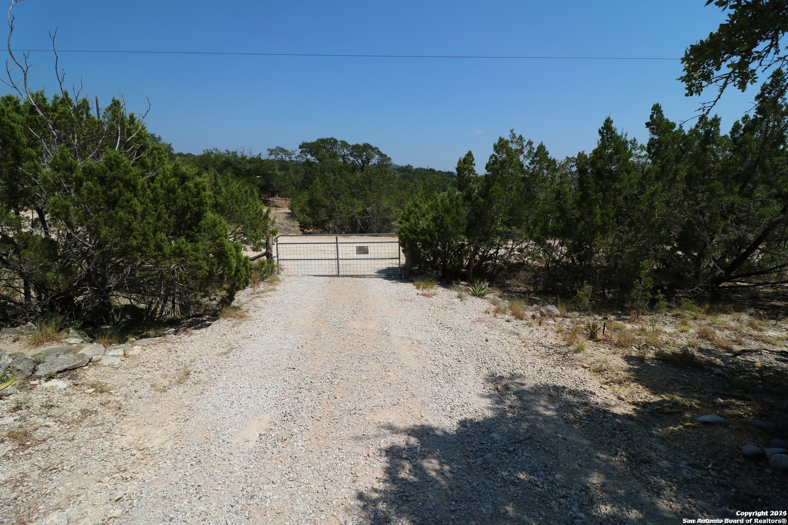 454 Overland Trail Bandera, TX 78003 - Photo 20 of 24 a view of a yard with trees in front of it