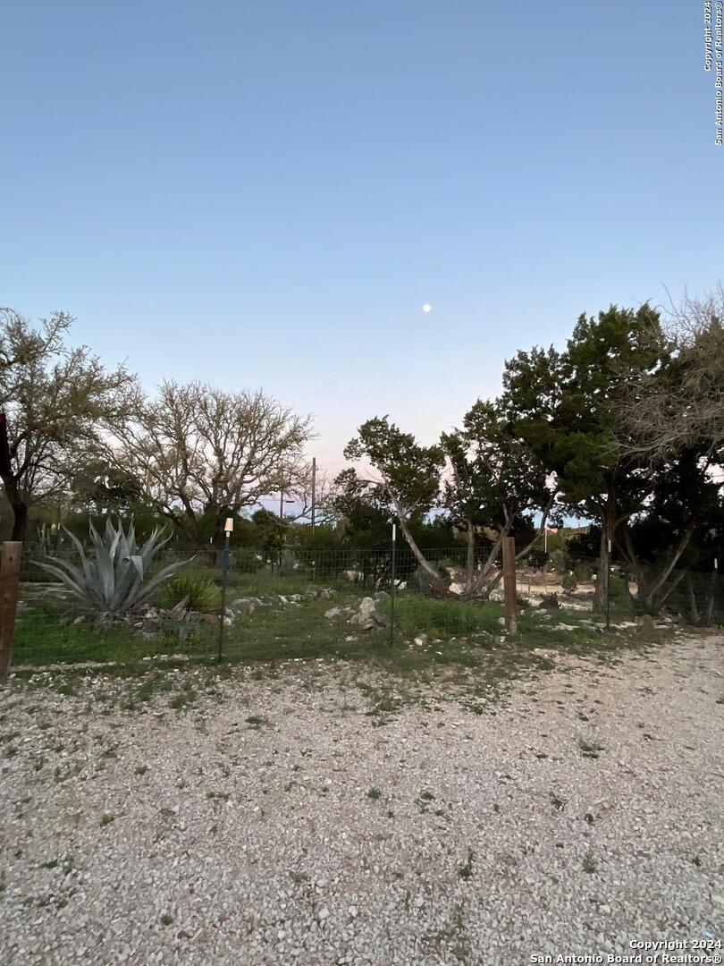 454 Overland Trail Bandera, TX 78003 - Photo 23 of 24 a view of a tree in a yard