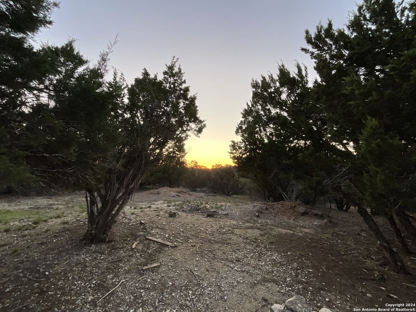 454 Overland Trail Bandera, TX 78003 - Photo 24 of 24 a view of a forest with trees in the background