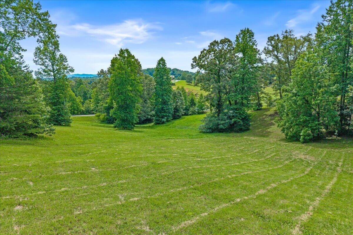 34 Springwater Madisonville, TN 37354 - Photo 5 of 13