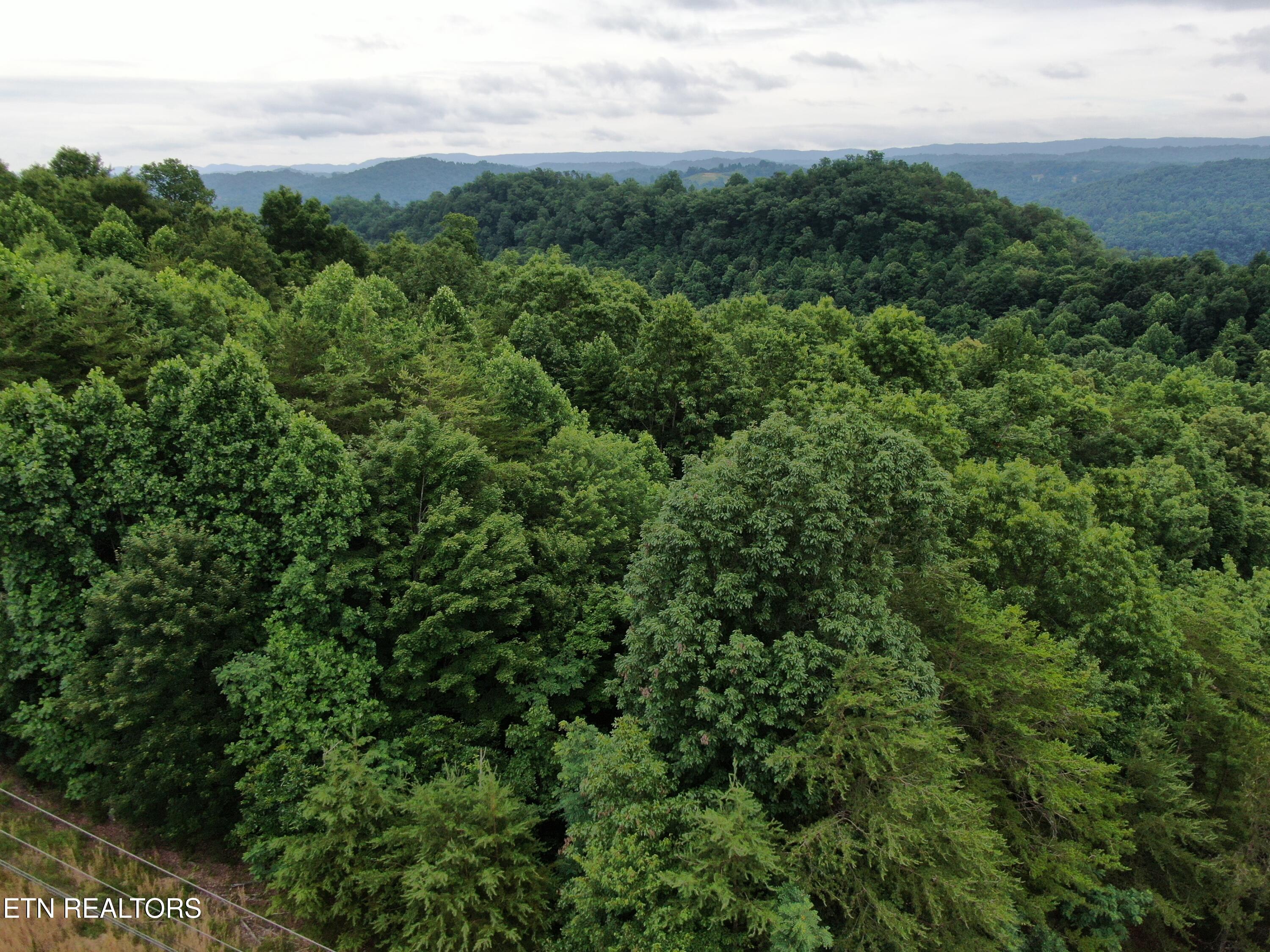 DJI_0387