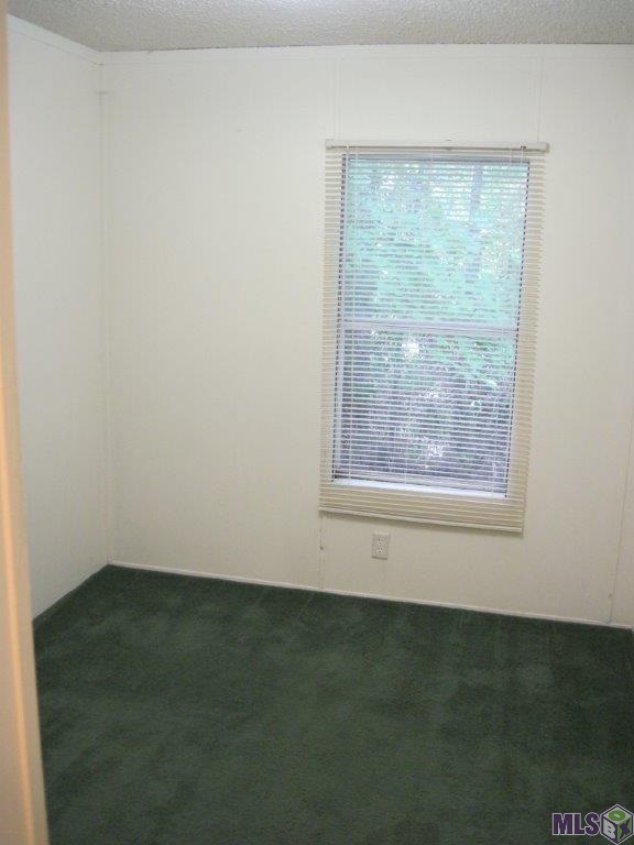 34845 Buck Carroll Road Walker, LA 70785 - Photo 14 of 14